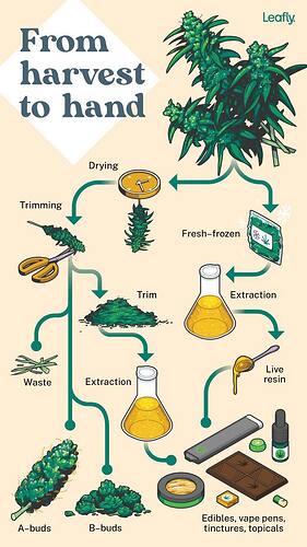 471332109_122146616696346360_5317724491559523_n