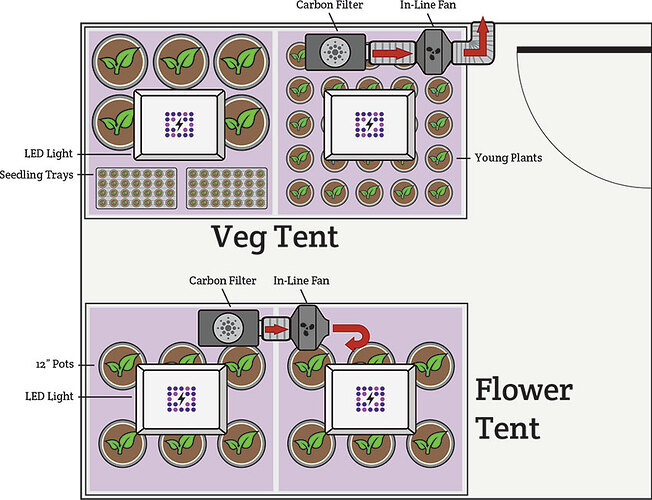 4' x 8' veg tent with a 4' x 8' flowering tent setup and design