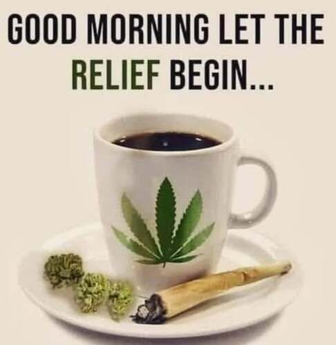 471949169_1147185914075504_326935636821447399_n