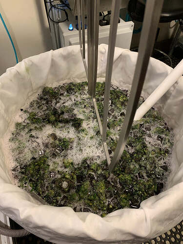 Bubble Hash Washing with the Axis trichome separator at Kush Masters