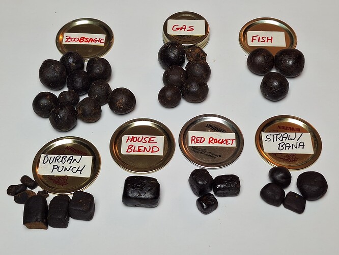 471857423_10170254802720103_2785668943131731429_n