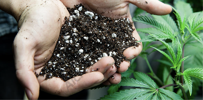 Cannabis specific soil