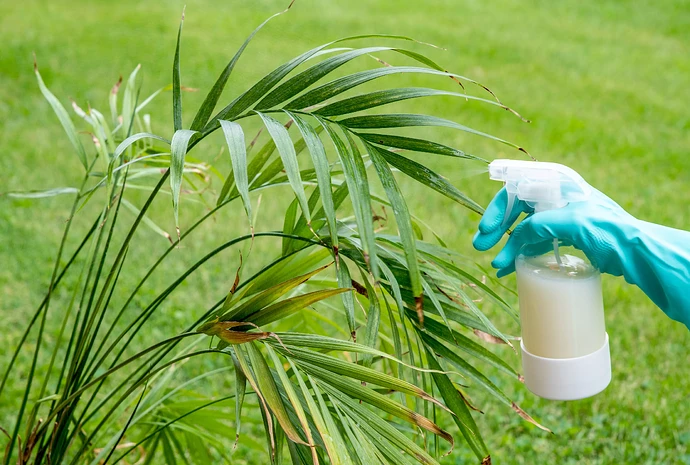 using neem oil on plants to control pests