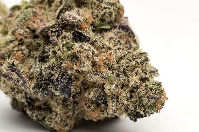 close-up-photo-of-marijuana-leaf