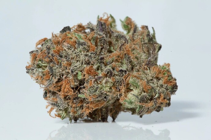 Girl Scout Cookies