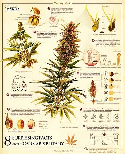 472223109_1027955282707467_4933746276395905192_n