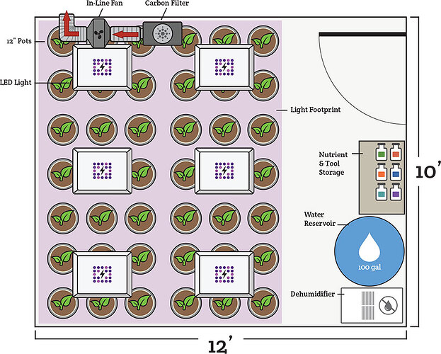 10' x 10' grow tent setup and design