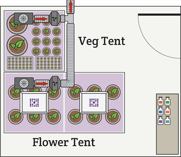 perpetual harvest grow room design