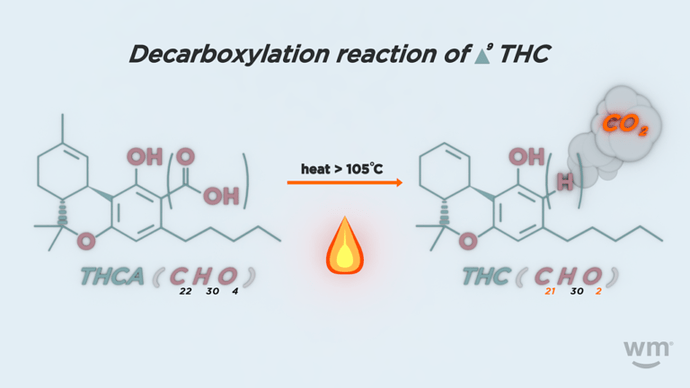 Decarboxylation of THCA