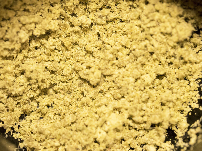 Bubble hash close-up