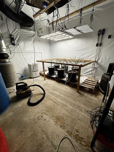 80D4B899-A07C-4C25-B2D0-5C48D8CA0BEA