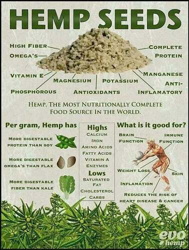 471259036_1025787232924272_8788086322468719046_n