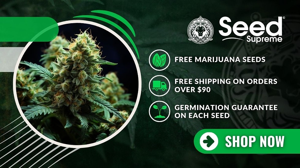 Best Seed Banks: Where to Buy High-Quality Marijuana Seeds Online