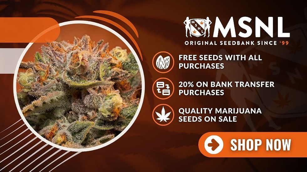 Best Seed Banks: Where to Buy High-Quality Marijuana Seeds Online