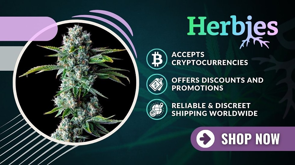 Best Seed Banks: Where to Buy High-Quality Marijuana Seeds Online