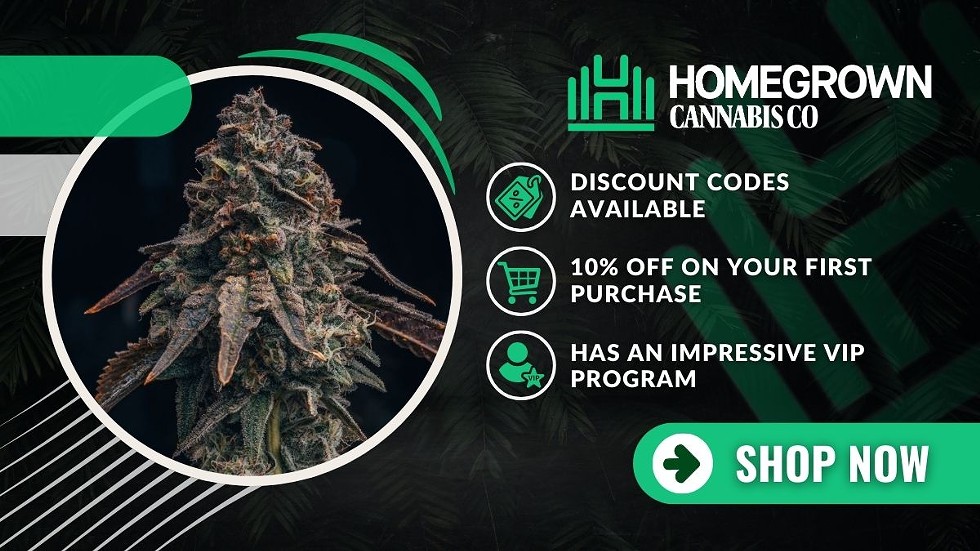 Best Seed Banks: Where to Buy High-Quality Marijuana Seeds Online