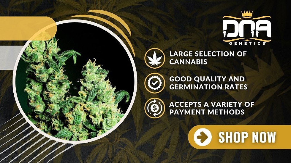 Best Seed Banks: Where to Buy High-Quality Marijuana Seeds Online